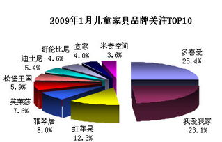 2009年1月家具市場品牌口碑調(diào)查研究報告